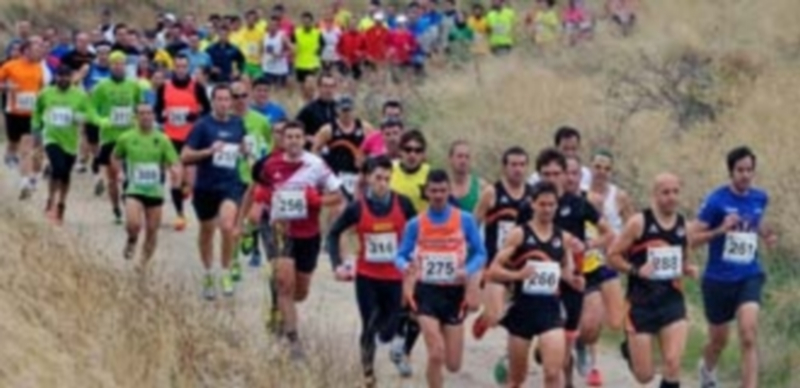 Salida de la pasada edición de la Carrera Entre Viñedos. / Kamarero