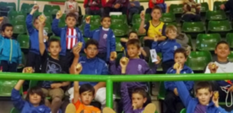 Un grupo de niños copaba el año pasado varias filas del graderío del Pabellón Pedro Delgado. / EL ADELANTADO