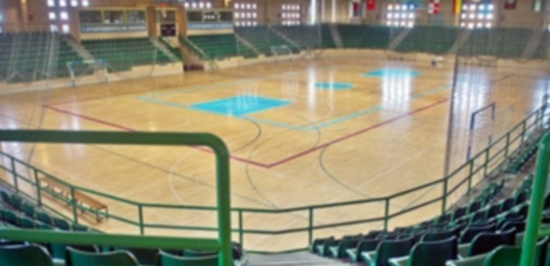 El pabellón polideportivo Pedro Delgado acogerá la ‘I Feria Expodeporte’ el próximo 12 y 13 de septiembre. / El Adelantado