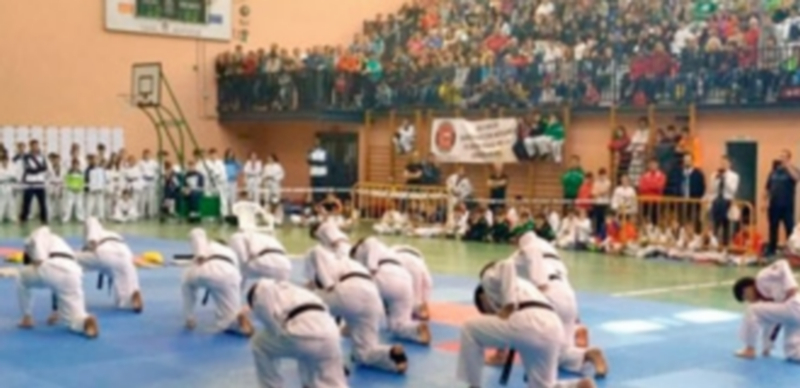 Un momento de la exhibición realizada por el equipo de Corea