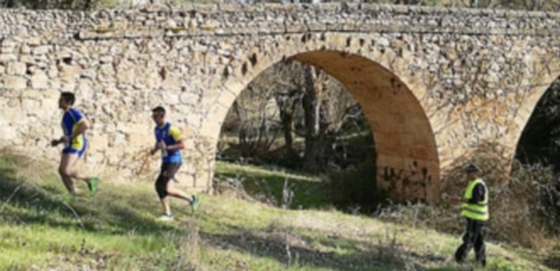 Los miembros de la organización