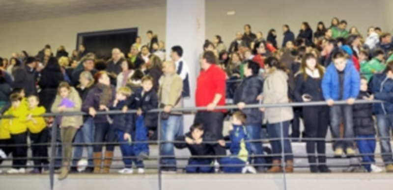La grada llena del pabellón Agustín Fernández durante un partido