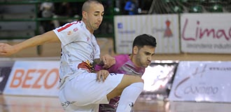 Competir a base de compromiso 1 El ala del Naturpellet Segovia Alvarito y el jugador del Palma Futsal rivalizan en una acción durante el encuentro disputado en el pabellón Pedro Delgado. / KAMARERO
