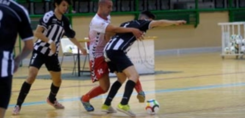 El Naturpellet Segovia gana 5-2. / KAMARERO