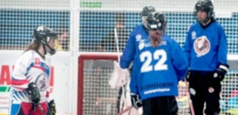 Partido entre el Cochinillos Voladores y el Metropolitano. / CLUB PATINAJE SEGOVIA