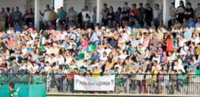 Imagen parcial de la grada de La Albuera