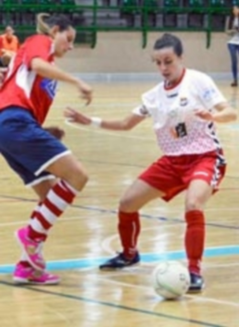 Partido del Naturpellet Segovia femenino en el Pedro Delgado. / KAMARERO