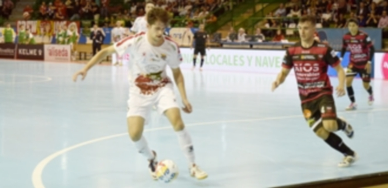 Viernes de espectáculo 1 El ala del Naturpellet Segovia