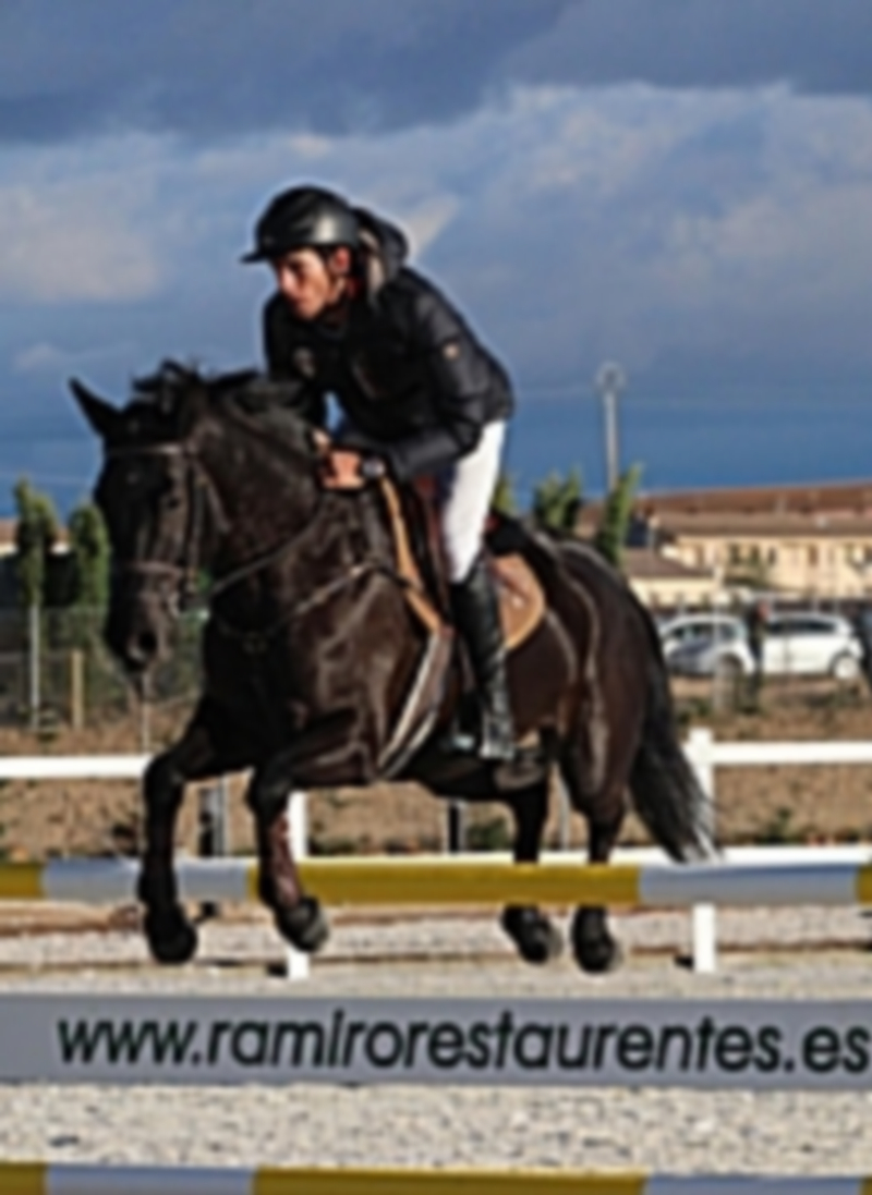 Momento del pasado Campeonato de Castilla y León de salto de obstáculos. / EL ADELANTADO