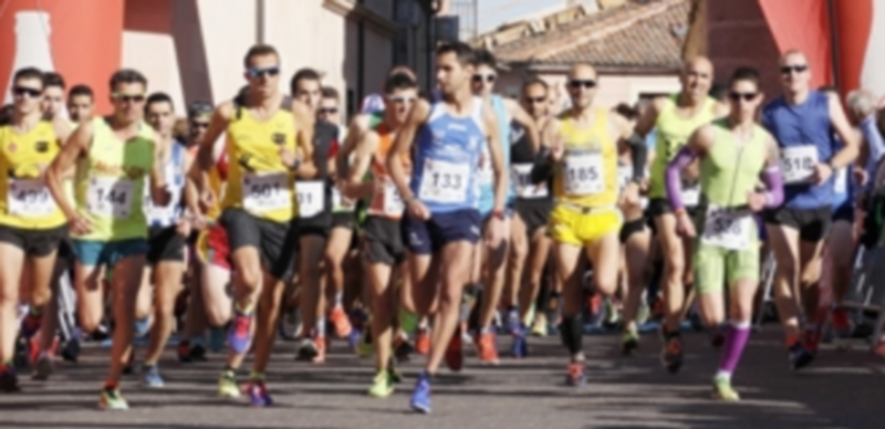 Tres momentos de la pasada edición de la Media Maratón ‘Ciudad de Cantalejo’ que acogió la localidad briquera. / EL ADELANTADO