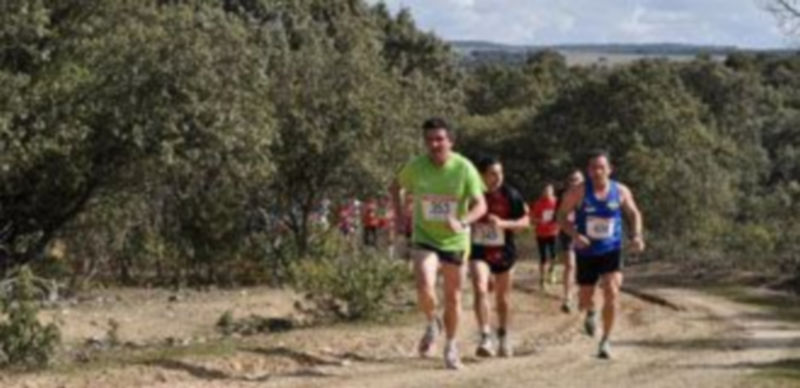 Imagen de una edición anterior de ‘La viña del ajo’ de Muñoveros. / El Adelantado