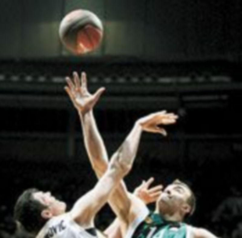 Lavrinovic y Pekovic luchan por el balón. / A. Martín (Efe)