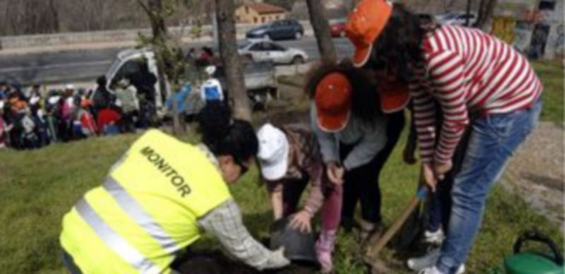 ./ ALBERTO BENAVENTE