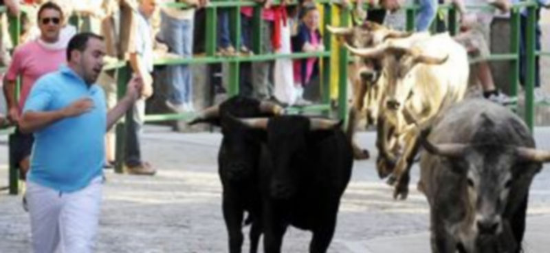 Un momento del último encierro de San Lorenzo./ JUAN MARTÍN