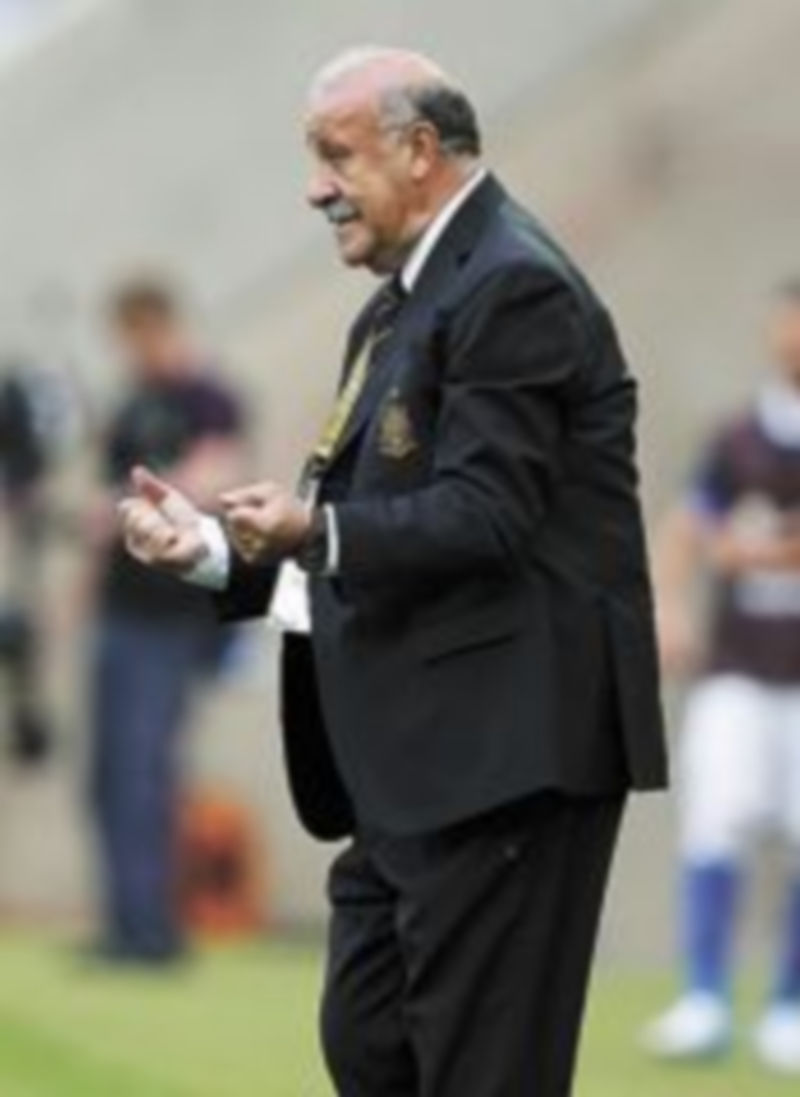 Del Bosque estuvo muy activo en la zona técnica. / J. M. (Reuters)