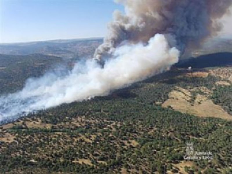 Imagen de las labores de extinción. / EL ADELANTADO