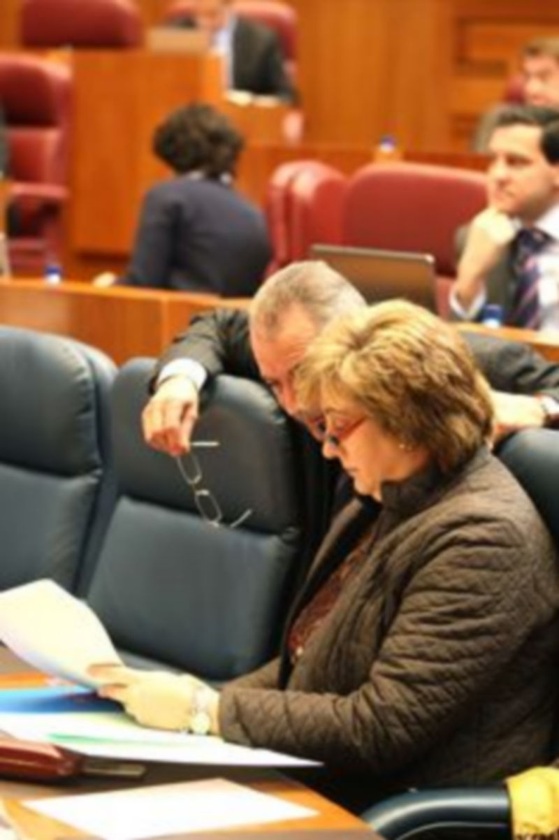 La consejera de Medio Ambiente