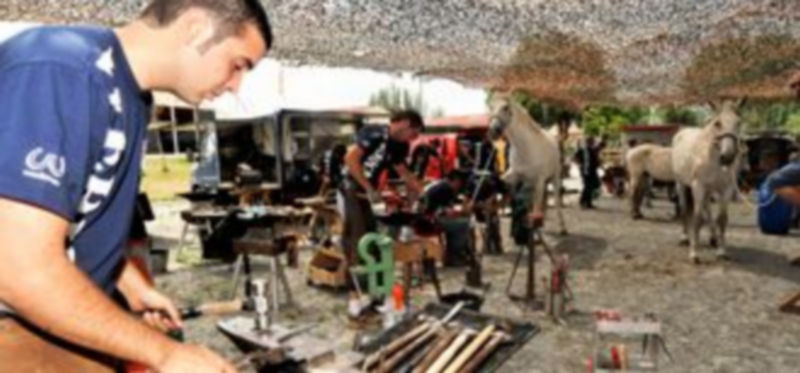 Las instalaciones del Centro Ecuestre de Castilla y León albergarán en octubre un curso básico de Herraje. /Kamarero