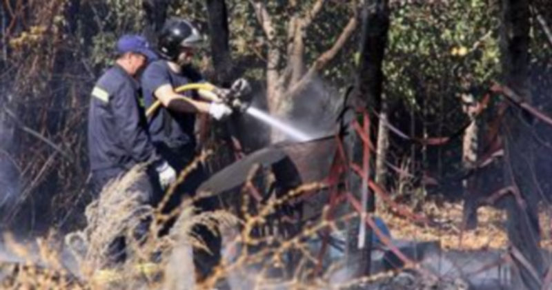 Los servicios contra incendios intensifican su trabajo en los meses de verano en las zonas arboladas./Juan Martín