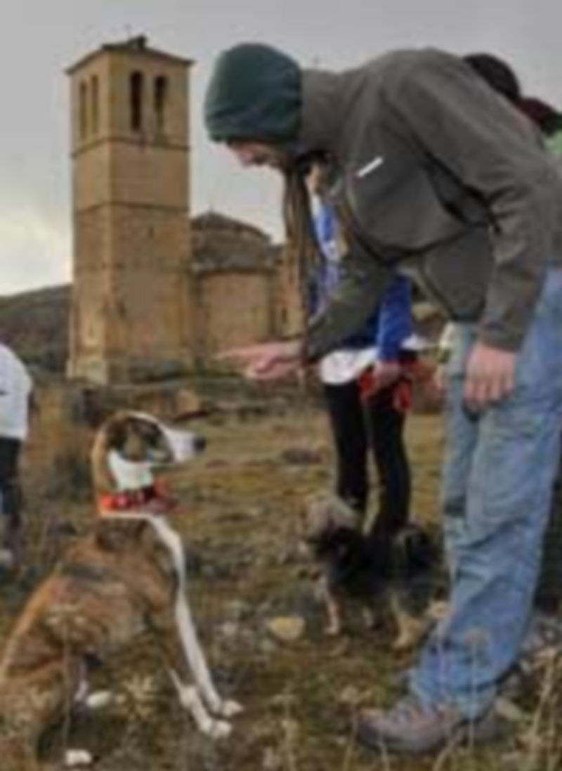 Educación canina en positivo./EUROPA PRESS