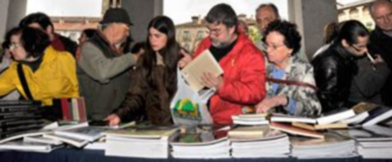 Los ciudadanos respondieron a la oferta de libros en la Plaza Mayor./KAMARERO