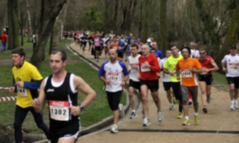 Paso un buen número de atletas de la anterior Media Maratón Ciudad de Segovia por la Alameda del Parral. / Juan Martín