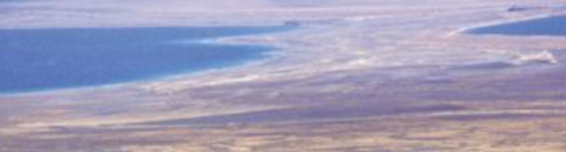 El casi desértico y lamentable estado en el que actualmente se encuentra la singular masa fluvial enciende las alarmas. / EFE