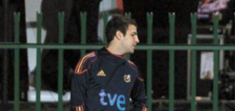 Cesc tuvo que abandonar el entrenamiento del lunes al sufrir molestias en el peroné recién operado. / Reuters