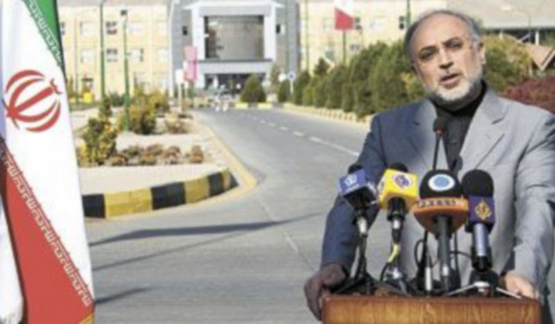 El director del Organismo iraní de la Energía Atómica