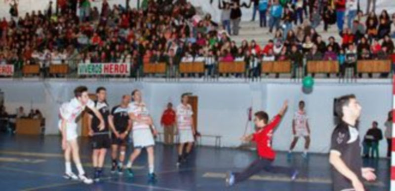 Los aficionados del Viveros Herol Balonmano Nava observan desde la grada una acción de ataque de su equipo