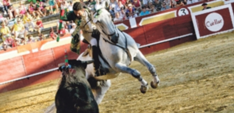 Paulo Jorge Santos causó una profunda y grata impresión al aficionado cuellarano./ Enrique Madroño