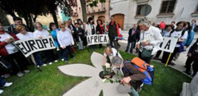 Plantación de un rosal blanco en la plaza de la Merced. / KAMARERO