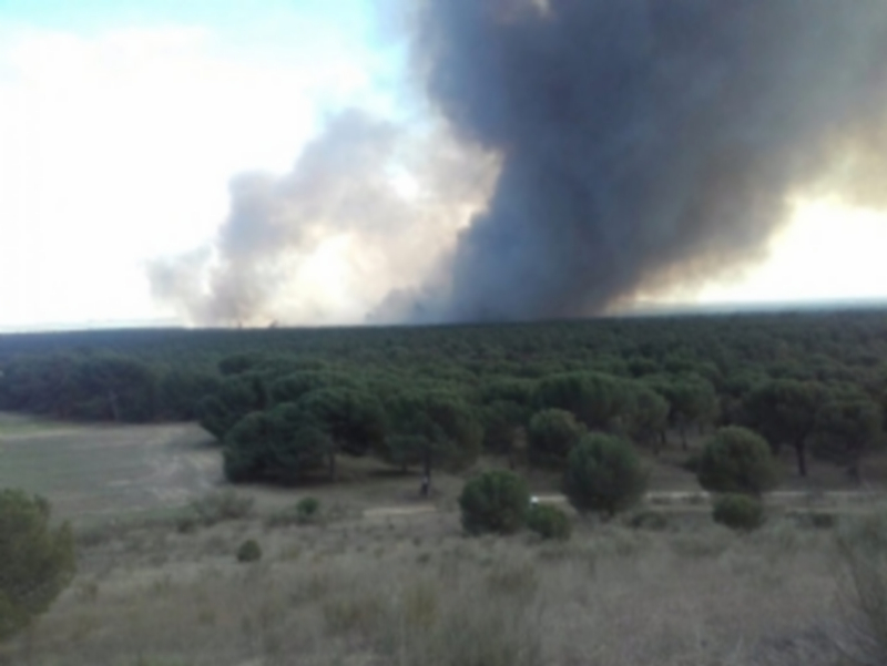 El humo puede verse desde varios puntos de la provincia./A.Marugan