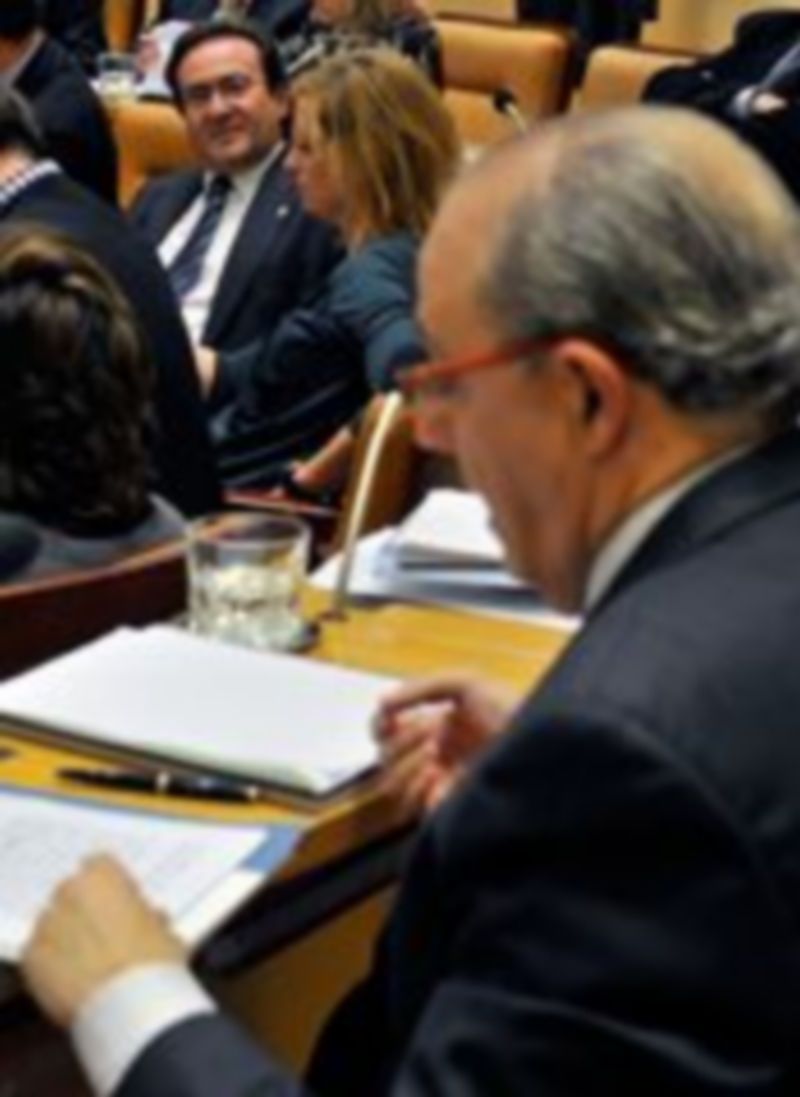 Un momento del pleno./ KAMARERO