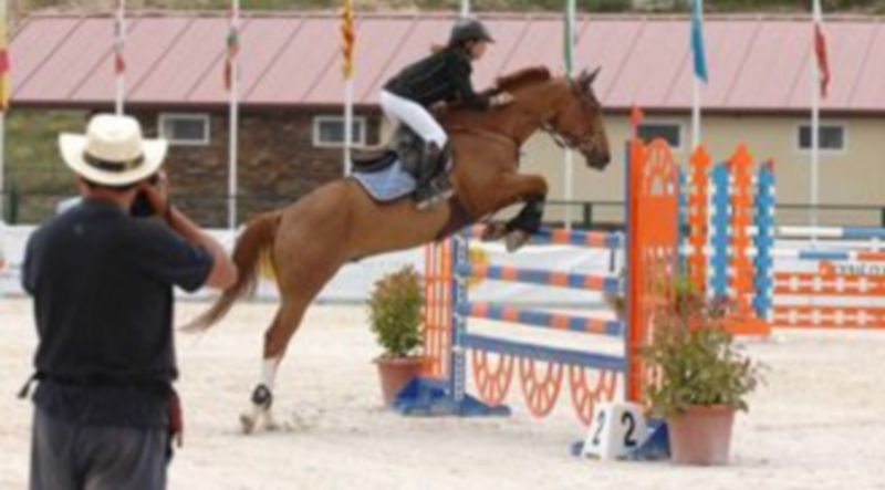 Imagen de la última edición del Campeonato de España de Ponis