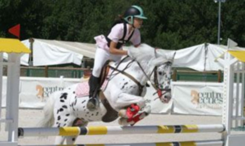 Instante de una competición de ponis