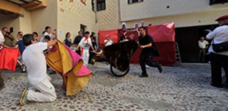 Primer encierrro en Segovia en honor a San Fermín 1 Un momento del encierro celebrado hoy en Segovia. / KAMARERO