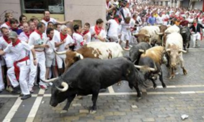 Los toros de la ganadería gaditana de Torrestrella