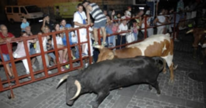 El primer encierro nocturno fue rápido y sin incidentes 1 Vecinos del barrio y aficionados segovianos disfrutaron del primer encierro nocturno de las fiestas de San Lorenzo. / J. M.