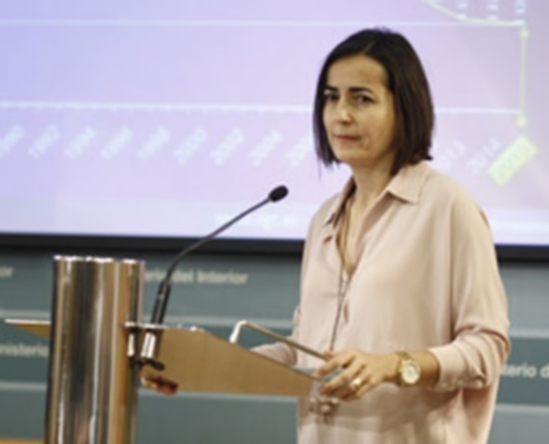 María Seguí presentó su dimisión como directora general de Tráfico 1 María Seguí