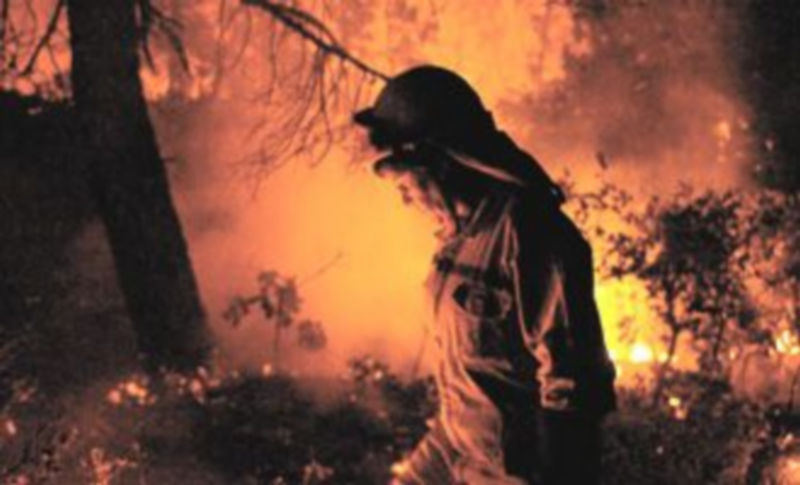 Un miembro de un retén trabaja para controlar el incendio que en 2005 se cobró la vida de 11 personas en Guadalajara. / Efe