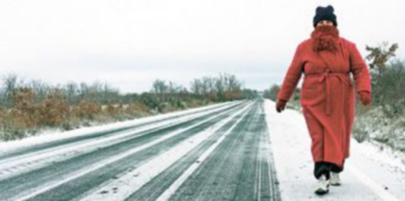 A pesar del frío y la nieve