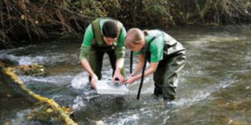 Varios voluntarios de la Asociación de Ciencias Ambientes limpian el río Henares