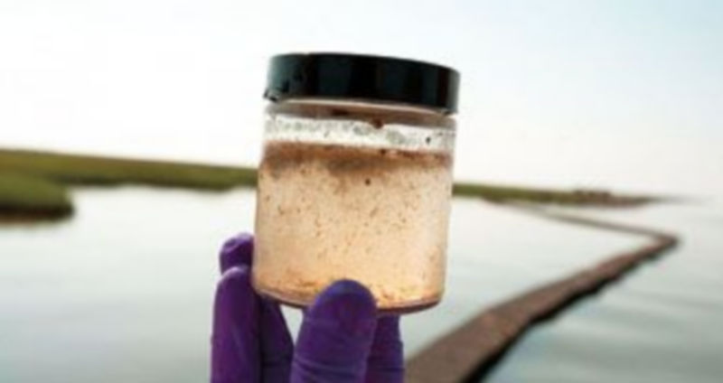 El frasco muestra un cultivo de bacteria que destruye el petróleo y que se quiere utilizar para tratar el fluido derramado. / B. K. (Efe)