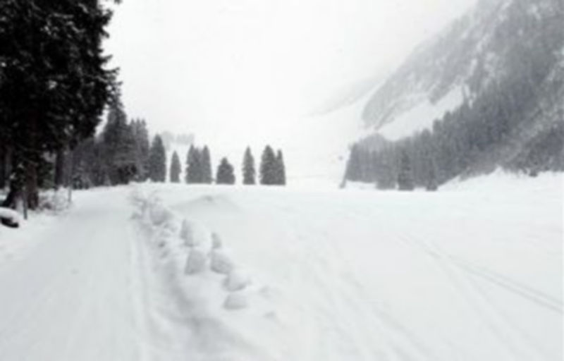 Vista de la nevado de Diemtigtal