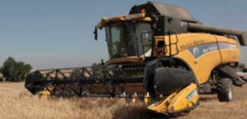 La cosecha de cereal se pone en marcha en el sur de la provincia 1 Los rendimientos de cereal están siendo inferiores a los del año pasado. / F. D.