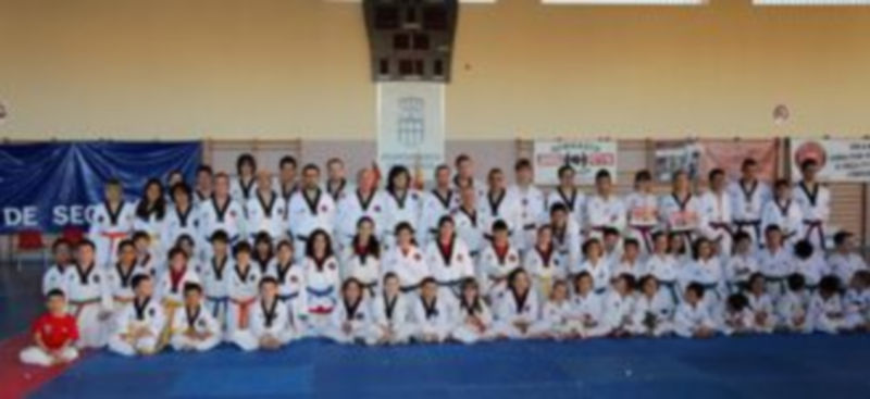 taekwondo31