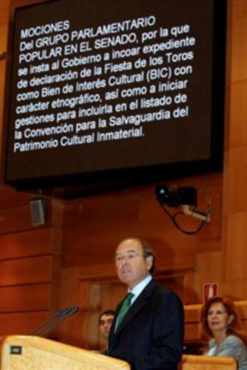 El portavoz del PP en el Senado