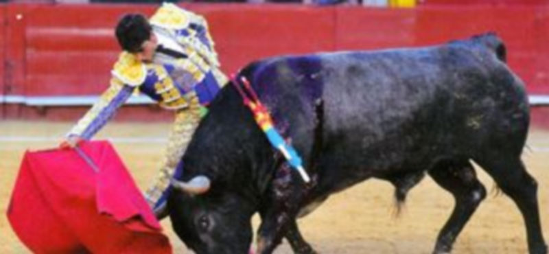 Alberto Aguilar estará en la Tertulia Taurina de Segovia. / E. A.