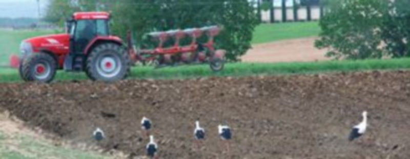 El censo agrícola del INE es el sexto que realiza este organismo en España. / F. D.